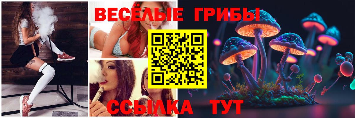 Псилоцибиновые грибы ЛСД  купить закладку  Волжский  Вход с VPN 