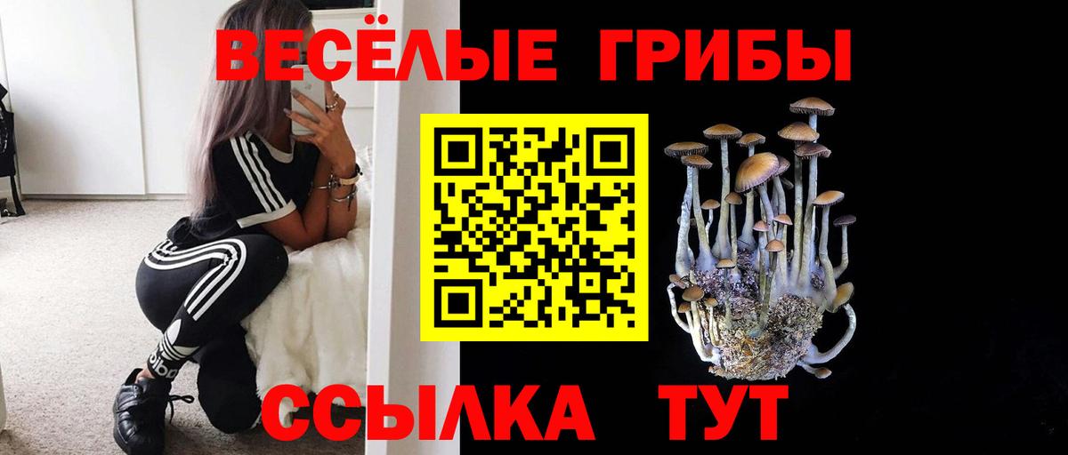 Галлюциногенные грибы мицелий Волжский